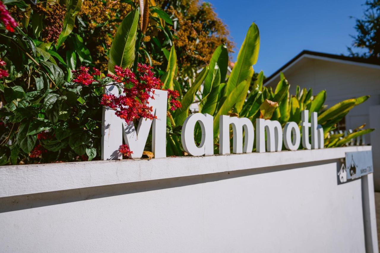 Mammoth Boutique Hotel Чіангмай Екстер'єр фото